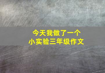 今天我做了一个小实验三年级作文