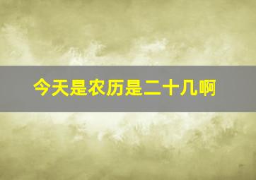 今天是农历是二十几啊