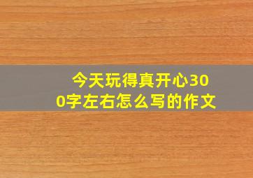 今天玩得真开心300字左右怎么写的作文