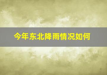 今年东北降雨情况如何