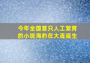 今年全国首只人工繁育的小斑海豹在大连诞生