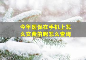 今年医保在手机上怎么交费的呢怎么查询