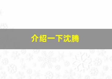 介绍一下沈腾