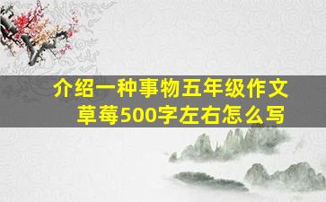 介绍一种事物五年级作文草莓500字左右怎么写