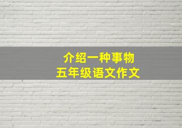 介绍一种事物五年级语文作文