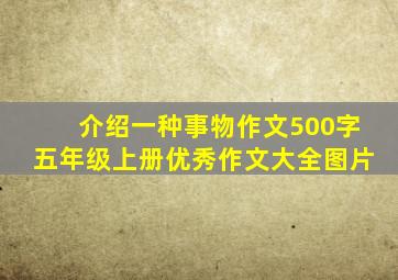 介绍一种事物作文500字五年级上册优秀作文大全图片