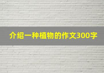 介绍一种植物的作文300字