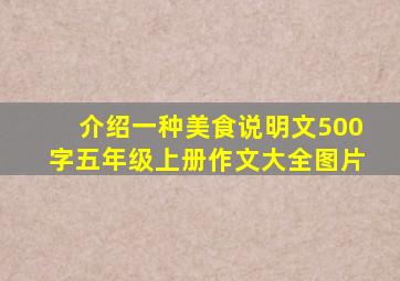 介绍一种美食说明文500字五年级上册作文大全图片