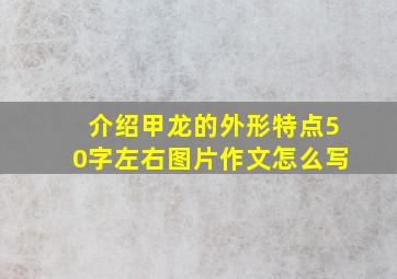 介绍甲龙的外形特点50字左右图片作文怎么写