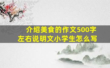 介绍美食的作文500字左右说明文小学生怎么写