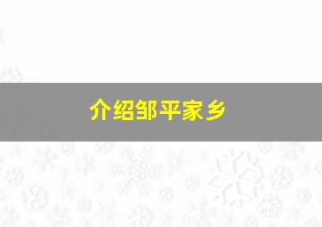 介绍邹平家乡