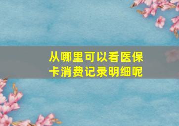 从哪里可以看医保卡消费记录明细呢