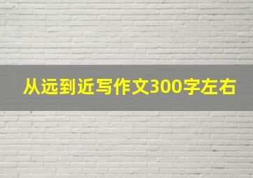 从远到近写作文300字左右