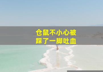 仓鼠不小心被踩了一脚吐血