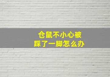 仓鼠不小心被踩了一脚怎么办