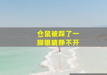 仓鼠被踩了一脚眼睛睁不开