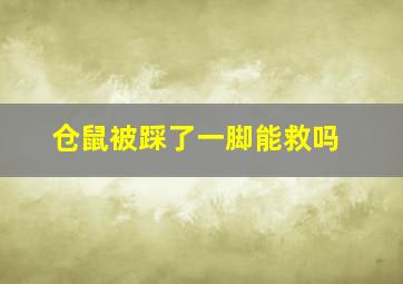 仓鼠被踩了一脚能救吗