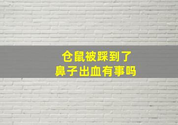 仓鼠被踩到了鼻子出血有事吗