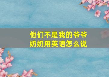 他们不是我的爷爷奶奶用英语怎么说