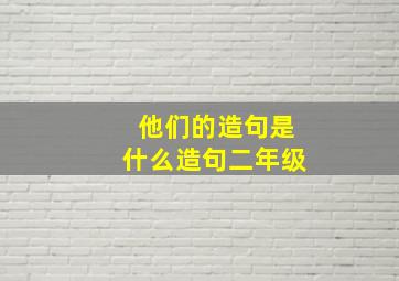 他们的造句是什么造句二年级