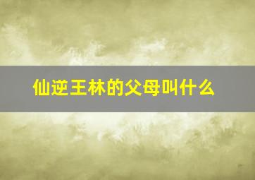 仙逆王林的父母叫什么