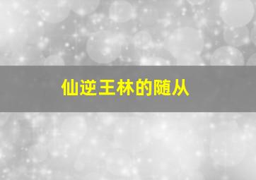 仙逆王林的随从