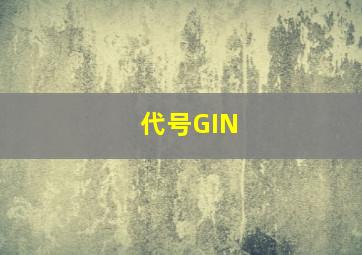 代号GIN