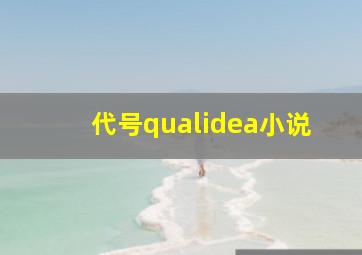 代号qualidea小说