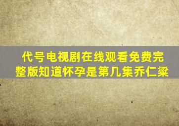 代号电视剧在线观看免费完整版知道怀孕是第几集乔仁粱