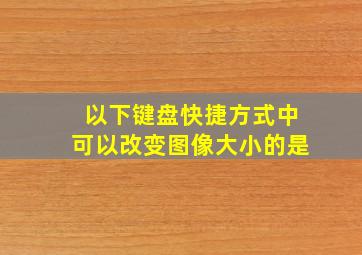 以下键盘快捷方式中可以改变图像大小的是