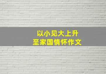 以小见大上升至家国情怀作文