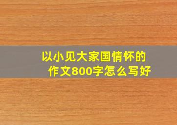 以小见大家国情怀的作文800字怎么写好