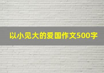 以小见大的爱国作文500字