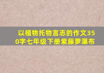 以植物托物言志的作文350字七年级下册紫藤萝瀑布