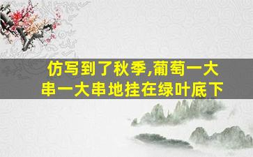 仿写到了秋季,葡萄一大串一大串地挂在绿叶底下