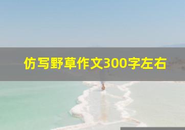 仿写野草作文300字左右