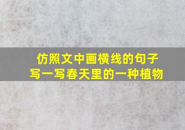 仿照文中画横线的句子写一写春天里的一种植物