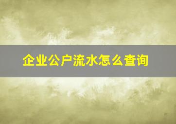 企业公户流水怎么查询