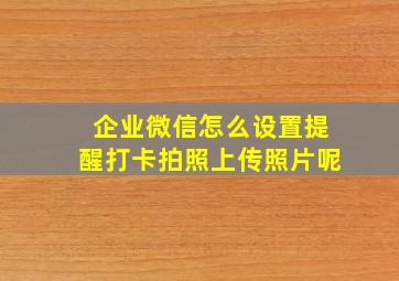 企业微信怎么设置提醒打卡拍照上传照片呢