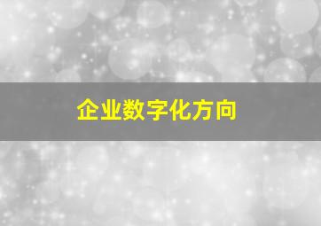 企业数字化方向