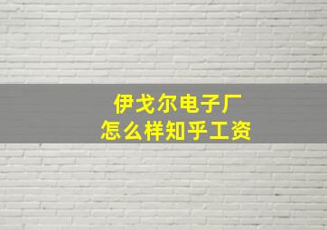 伊戈尔电子厂怎么样知乎工资