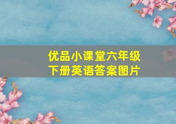 优品小课堂六年级下册英语答案图片