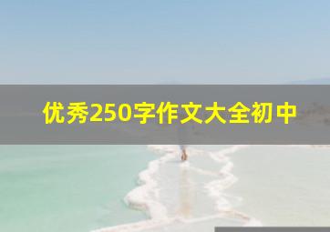 优秀250字作文大全初中