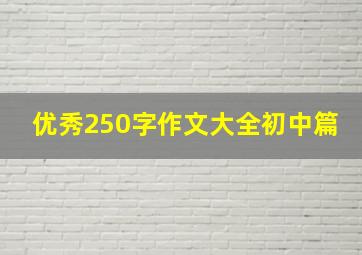 优秀250字作文大全初中篇