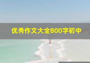 优秀作文大全800字初中