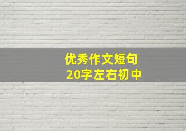 优秀作文短句20字左右初中