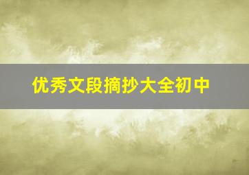 优秀文段摘抄大全初中