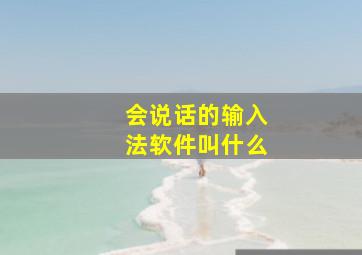 会说话的输入法软件叫什么