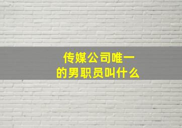 传媒公司唯一的男职员叫什么