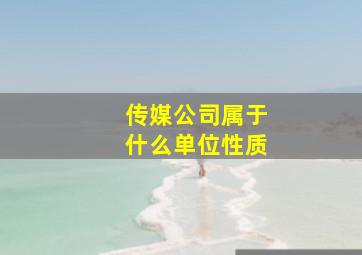 传媒公司属于什么单位性质